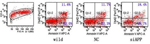 Figure 1. Flow cytometry analysis of cell apoptosis in kasumi-1 cells with different APP expression. Both the rate of early (Q4-2) and late apoptosis (Q2-2) in si-APP kasumi-1 cell increased significantly when compared with the rate in wild type and NC kasumi-1 cell (Early apoptosis rate: si-APP: 29.00%±0.98%, wild type: 21.43%±0.86%, NC: 21.67%±0.78%, F=71.927, P<0.001; Late apoptosis rate: si-APP: 19.80%±1.51%, wild type: 12.33%±0.75%, NC: 12.90%±1.25%, F=35.239, P<0.001).