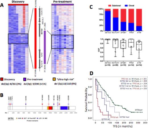 Figure 1. SETD2 lesions. A. SNP6.0 data for the del(3p) cases. B. Schematic diagram highlighting the prevalence and positioning of SETD2 mutations. C. Clonal cell fraction data for SETD2 and other gene mutations. D. Treatment-free survival (TFS).