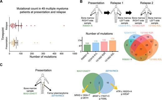 Figure 1. (A) Number of mutations in MM patients at clinical presentation and relapse. Each patient sample is represented by a dot. Lines and error bars correspond to the average and the standard error of the mean values, respectively. Difference was not statistically significant (p >0.05, t-test). (B) MM patient analysed at presentation and following two relapses (top). The number of mutations increases through disease (bottom, left panel). Venn plot shows the number of shared and specific mutations for each time point (bottom, right panel). (C) Case with a MM sample (green) and a femur plasmacytoma (blue). Venn plot shows shared and specific mutations to the bone marrow or the plasmacytoma site.