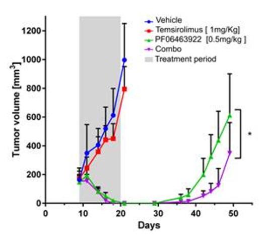 Figure 1. in vivo experiment for the evaluation of the combines treatment. Tumors volume measurements ±SEM are presented