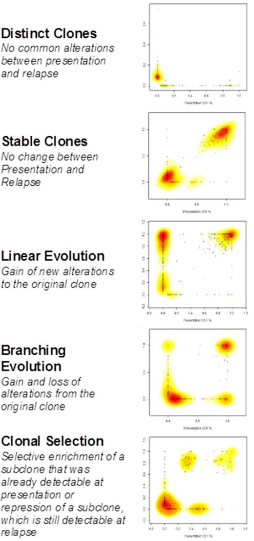 Figure 1. Patterns of Relapse