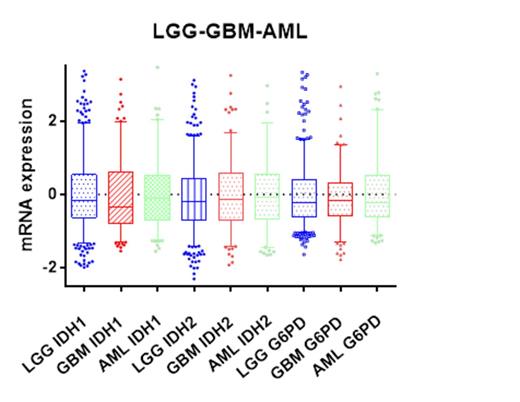 Figure 2. mRNA sequencing reveals no differences in IDH1, IDH2 and G6PD expression between AML, low-grade glioma (LGG) and glioblastoma (GBM).