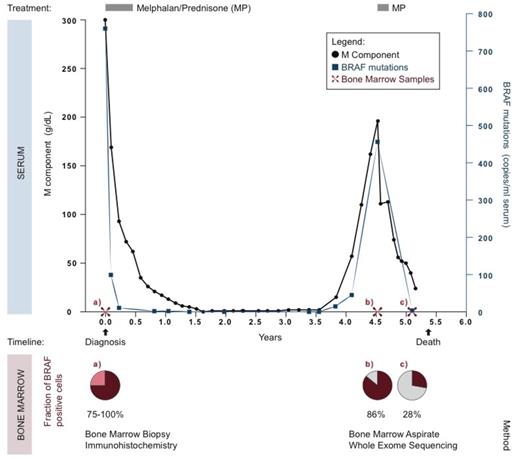Figure 1. Co-variation of M-protein and circulating BRAF V600E mutated DNA in patient 1.