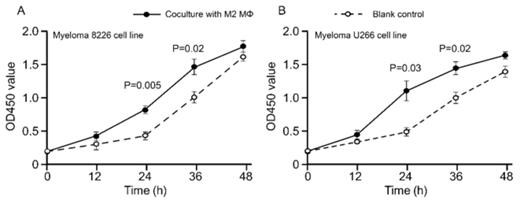 Figure 2. Macrophages promote myeloma cells proliferation.