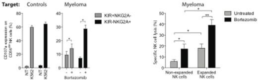 Figure 1. Degranulation of NK cell subsets against myeloma cells exposed to bortezomib. NT; No target. / NK cell killing of bortezomib-exposed myeloma cells.