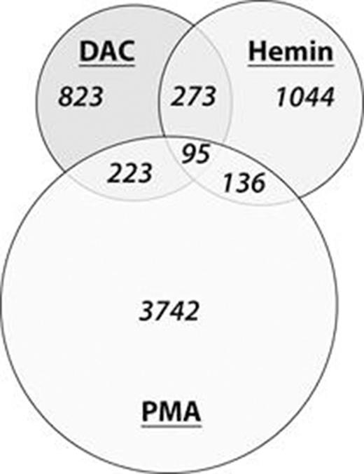 Figure 1. Intersection of >2 fold upregulated transcripts in K562 cells upon drug treatment.