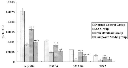 Figure 2. Analysis of hepcidin, BMP6, SMAD4 and TfR2 mRNA expression levels among different groups