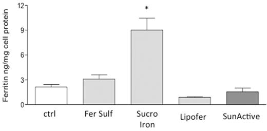 Figure 1. the graph shows the Ferritin levels of Caco-2 cells after iron formulations treatment. Sucrosomial Iron treated cells display significant increase of Ferritin synthesis compared to Lipofer and SunActive treated cells.