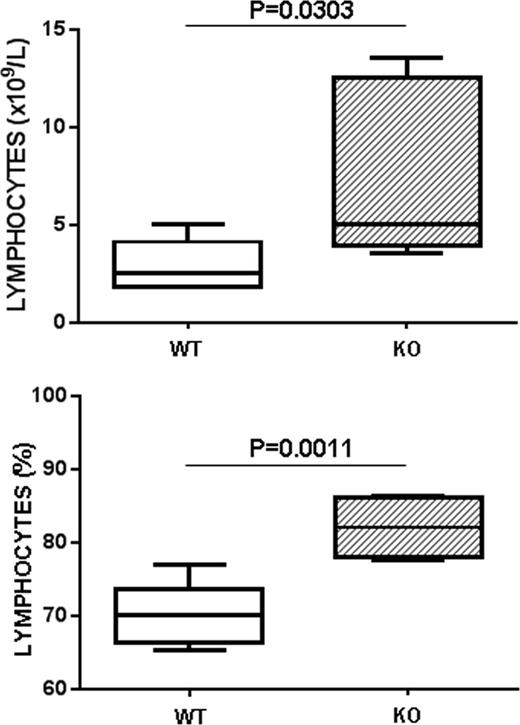 Figure 1. PrPC deficiency results in lymphocytosis in peripheral blood.
