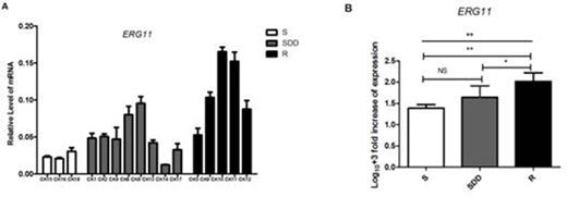 Figure 2. ERG11 relative gene expression levels in three groups of C.krusei clinical isolates. (A) Relative levels of ERG11 mRNA in all the C.krusei clinical isolates. ERG11 gene expression levels was quantified and normalized relative to the housekeeping gene, ACT1; S, itraconazole-susceptible; SDD, itraconazole-susceptibledose dependent; R, itraconazole-resistant. (B) Log10+3 fold increase of gene expression levels in three groups. (NS, no significance in SDD compared with S; *P<0.05 in R with SDD; **P<0.01 in R with S)