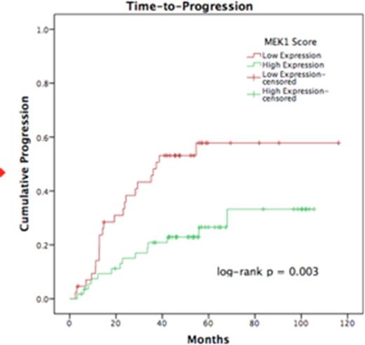 Figure 2. CI TTP, stratified by MEK1 expression