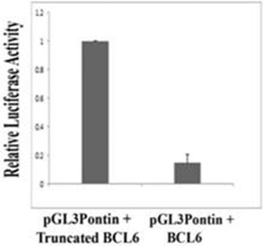 Figure 1. Transfection assays: The BCL6 Protein represses transcription from the Pontin Promoter