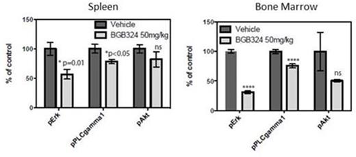 Figure 3. Response to BGB324-treatment in pErk, pPLCγ1 and pAkt in CD33/CD45-positive cells harvested from spleens (left) and bone marrows (right) of mice with systemic MOLM13 xenografts. n=5, *p≤0.05, **p≤0.005.