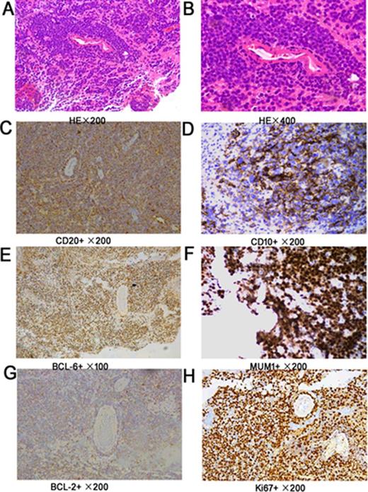 Figure 1. Immunohistochemical labeling.
