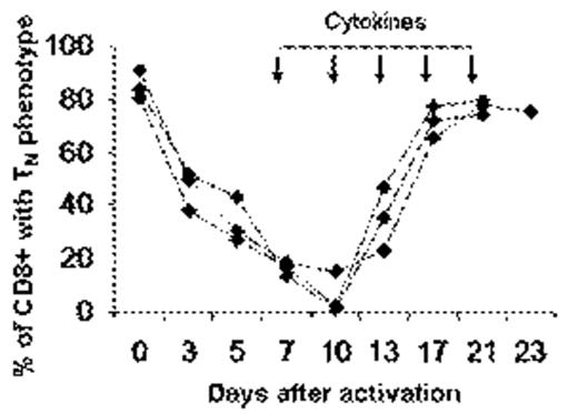Figure 1. Kinetics of phenotype reversion following anti-CD3/IL2-activation of CB T-cells. When the percentage of TN cells dropped below 20%, cytokines were added and cells were monitored for phenotypic changes. Results of 3 representative experiments out of 50.