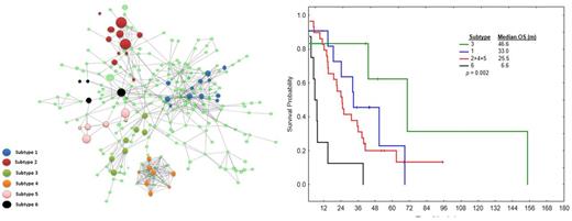 Figure 1. Network-based analysis subtypes of MDS and overall survival