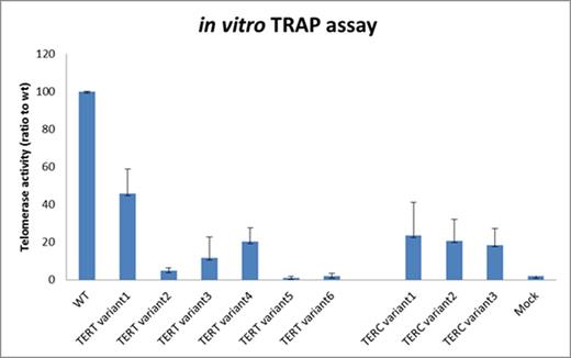 Figure 2. Expression of telomerase activity in novel TERT and TERC variants compared to Wild-type (positive control) and Mock (negative control)