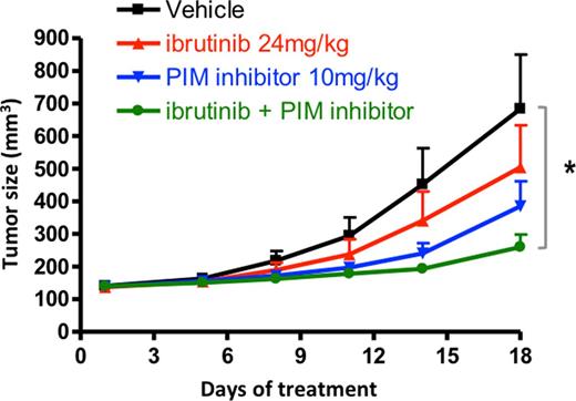 Figure 1. Combination of ibrutinib and a pan-PIM inhibitor in the HBL-1 xenograft model. Ibrutinib and PIM inhibitor treatment suppressed tumor growth by 62% compared with the vehicle-treated group (*p < 0.01, repeated measures MANOVA adjusted univariate F-test).