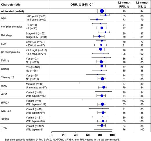 Figure 1. Investigator-assessed efficacy outcomes by subgroups