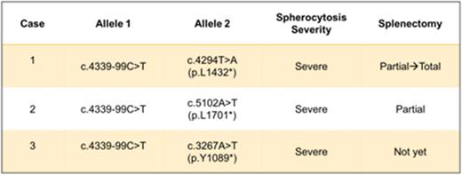 Figure 1. SPTA1 null mutations occurring in trans to alpha-LEPRA causing severe HS