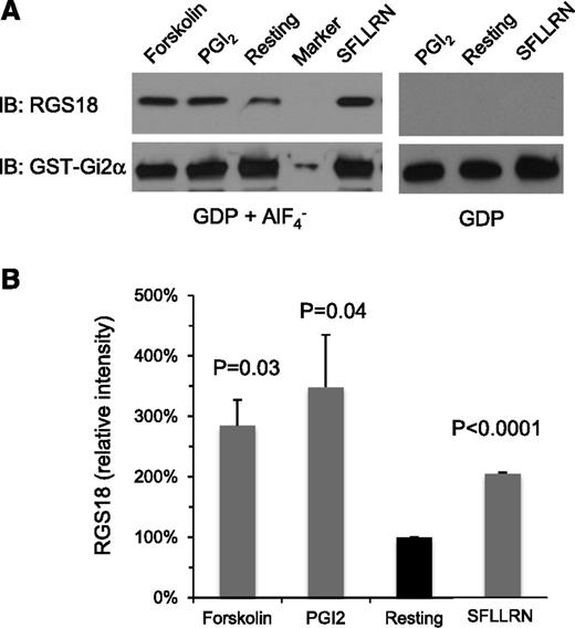 Figure 1. GST-Gi2α pulldown of RGS18 from human platelet lysates. Human platelets. (A) Lysates were prepared from resting platelets and from platelets incubated with forskolin (20 µM), PGI2 (15 µM), or the PAR1 agonist peptide, SFLLRN (50 µM). The lysates were then incubated with GST-Gi2α coupled to glutathione beads in the presence of GDP plus AlF4− or GDP alone as indicated. Bound proteins were subjected to electrophoresis and probed with RGS18 and Gi2α antibodies to detect RGS18 and GST-Gi2α fusion protein, respectively. (B) Summary of 3 experiments expressed as the percentage of the result obtained with resting platelets (mean ± SEM). P values are relative to resting platelets. IB, immunoblotting.