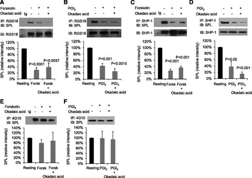 Figure 2. Forskolin and PGI2 cause dissociation of the SPL/RGS/SHP-1 complex, but do not affect SPL tyrosine phosphorylation. (A) Human platelets were incubated with 20 µM forskolin (Forsk) ± 1 µM okadaic acid as indicated. Proteins were precipitated with anti-RGS18 or nonimmune immunoglobulin (Ig) and then probed with anti-SPL before reprobing with anti-RGS18. The graph shows mean ± SEM. (B) Identical to panel A except 15 µM PGI2 was used instead of forskolin. Panels C and D are identical to panels A and B except that immunoprecipitation was performed with anti-SHP-1 instead of anti-RGS18. Panels A-C, N = 4; panel D, N = 3. (E) Human platelets were incubated with 20 µM forskolin ± 1 µM okadaic acid as indicated. Proteins were precipitated with the anti-phosphotyrosine antibody, 4G10, or nonimmune Ig and then probed with anti-SPL. The graph summarizes 4 experiments (mean ± SEM). Panel F is identical to panel E except 15 µM PGI2 was used instead of forskolin; N = 3. P values are relative to resting platelets.