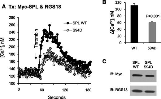 Figure 5. Overexpressing the SPL S94D variant in CHO cells results in a loss of function. (A) CHO cells were transfected with HA-tagged RGS18 and either Myc-tagged normal (WT) SPL or the phosphomimetic SPL S94D variant. After loading with Fura-2, the cells were stimulated with thrombin and changes in the cytosolic Ca2+ concentration were recorded. (B) Summary of 3 experiments (mean ± SEM). (C) Western blot showing equal expression of WT and S94D.