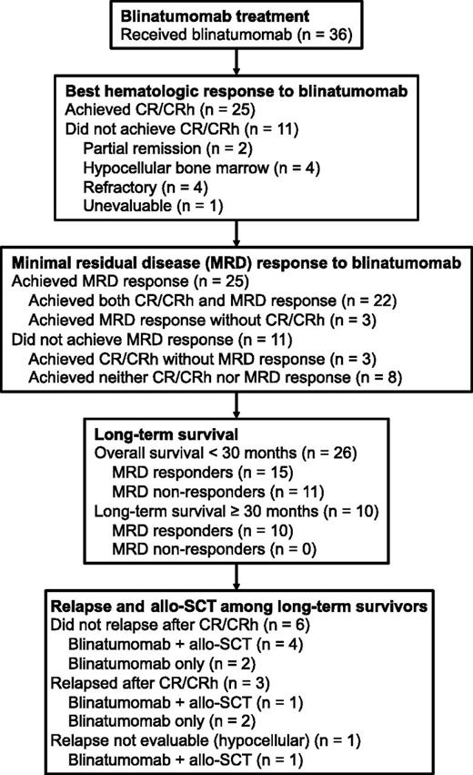 Figure 1. Patient disposition. Of the 36 patients in the study, 25 achieved CR or CRh and 11 patients did not achieve CR/CRh. Furthermore, 25 patients achieved an MRD response and 11 patients did not achieve an MRD response. Although numerically identical, the MRD response subgroups overlapped but were not the same as the CR/CRh response subgroups.
