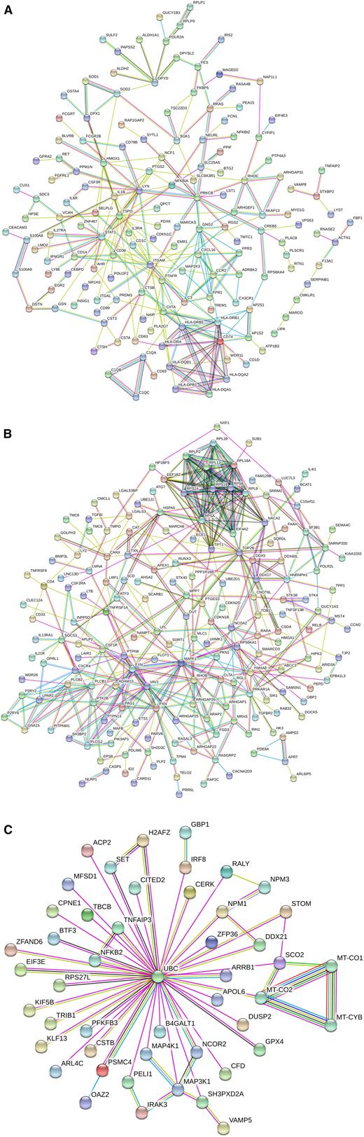 Figure 2. Interaction analysis of the differential genes between nonclassical and intermediate monocytes. Shown are interactions at a confidence score of 0.5. (A) DEGs found for both the slan-based and the CD14-based definition of subsets. (B) DEGs found for the CD14-based definition of subsets. (C) DEGs found for the slan-based definition of subsets.