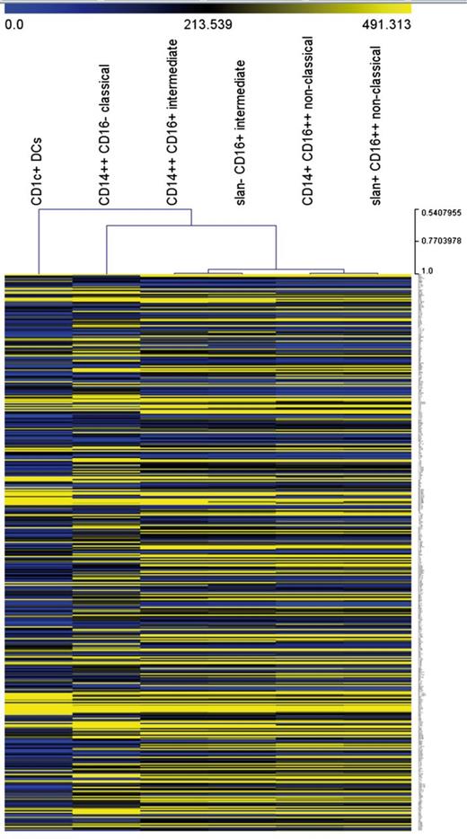 Figure 3. Unsupervised hierarchical clustering of monocyte subsets and CD1c+ DCs. The analysis is based on 427 transcripts with a minimum coefficient of variation of 0.25.