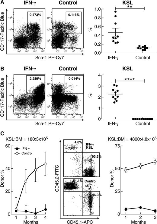 Figure 1. Expansion of phenotypic KSL cells by IFN-γ without expansion of functional HSCs. (A) IFN-γ injection (10 µg per mouse; n = 9) caused a significant increase in the proportion of KSL cells relative to untreated controls (n = 9). (B) When B6 BM cells were cultured for 6 days with IFN-γ (50 ng/mL; n = 10), there was a significant increase in KSL cell proportion. (C) In a competitive repopulation assay with KSL:competitor BM cell ratio of 180:3 × 105, KSL cells from IFN-γ-treated donors (solid circles) contributed very little to recipient mature blood cells relative to KSL cells form normal donors (open circles). This was confirmed in a second competitive repopulation assay at KSL:competitor BM cell ratio of 4800:4.8 × 105 in which IFN-γ-expanded KSL cells (solid circles) had significantly lower donor contributions than normal KSL cells (open circles), shown as representative flow cytometry dot plots and means with standard errors. APC, allophycocyanin; FITC, fluorescein isothiocyanate; PE, phycoerythrin. **P < .01; ****P < .0001.