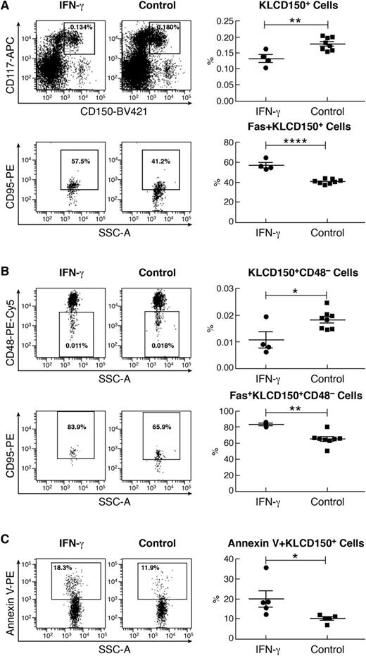 Figure 5. IFN-γ-upregulated Fas expression and Fas-mediated apoptosis in KLCD150+ cells. (A) IFN-γ-injected B6 mice (10 µg per mouse, n = 4) had a significantly lower proportion of KLCD150+ cells but a significantly higher proportion of Fas+ cells within the KLCD150+ population relative to untreated controls (n = 8). (B) Similarly, the proportion of KLCD150+CD48– cells was significantly lower but the proportion of Fas+ cells was significantly higher in the KLCD150+CD48– cell population in IFN-γ-injected mice than in controls. (C) Sorted KLCD150+ BM cells from IFN-γ-injected mice (n = 5) or untreated controls (n = 5) were mixed with activated CD4 and CD8 T cells (from BM failure mice) at a KLCD150+:CD4:CD8 ratio of 1:5:10 and cultured at 37°C with 5% CO2 for 60 minutes. The proportion of annexin V+ apoptotic KLCD150+ cells was significantly higher in IFN-γ-treated than in untreated control mice. *P < .05; **P < .01; ****P < .0001.