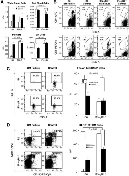 Figure 6. Attenuation of immune-mediated BM destruction with IFN-γR1 gene disruption. B6 mice and IFN-γR1−/− mice were treated with 6.5 Gy TBI (B6 control; n = 7; IFN-γR1−/− control; n = 10) or TBI plus infusion of 5 × 106 FVB LN cells (B6 BM failure; n = 10; IFN-γR1−/− BM failure; n = 8). Mice were bled and euthanized at day 12 to measure complete blood count (CBC) and cellular change. (A) B6 mice treated with FVB LN cells had severe declines in white blood cells (WBCs; 88%), RBCs (40%), platelets (40%), and total BM cells (57%) relative to TBI-only controls, whereas IFN-γR1−/− mice infused with FVB LN cells had only a 40% decline in WBCs relative to TBI-only controls without decreases in RBCs, platelets, or total BM cells, leading to significant differences (P < .01) between B6 and IFN-γR1−/− mice in response to the same number of infusions with FVB LN cells. (B) IFN-γR1−/− mice infused with FVB LN cells had lower proportions of CD4 and CD8 T cells (P < .05) in BM relative to B6 mice infused with FVB LN cells. (C) B6 mice infused with FVB LN cells (n = 6) had a significantly higher (P < .05) proportion of Fas+ cells in CD4–CD8– residual BM cells relative to their TBI-only controls (n = 4). IFN-γR1−/− mice (n = 5) infused with FVB LN cells showed no Fas upregulation on residual BM cells relative to their TBI-only controls (n = 6). (D) B6 mice, but not IFN-γR1−/− mice, infused with FVB LN cells had a significantly reduced proportion and total number of KLCD150+ hematopoietic stem and progenitor cells relative to their respective TBI-only controls, leading to significant treatment and strain interactions (P < .01).