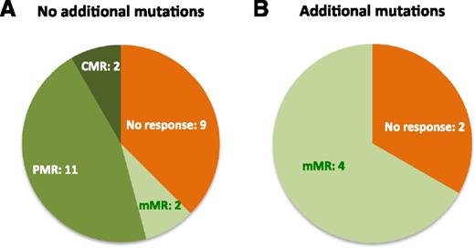 Figure 2. Distribution of MRs among patients with or without additional mutations. (A) Patients without additional mutations (N = 24). (B) Patients with additional mutations (N = 6).