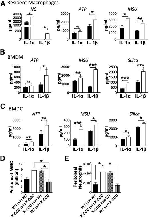 Figure 3. NADPH oxidase deficiency augmented IL-1 response. (A-C) Sorted resident peritoneal macrophages, BMDMs, and BMDCs from WT (▪) or X-CGD mice (□) were primed in vitro with ultrapure LPS prior to stimulation with necrotic EL4 lysates or inflammasome agonists, as indicated. IL-1α and IL-1β levels were determined by ELISA in cell-free supernatants. *P < .05, **P < .1, ***P < .001. Representative data from 1 of 3 experiments. For each experiment, 1 WT and 1 X-CGD mouse were used to isolate ResM or generate BMDMs and BMDCs. (D-E) Lethally irradiated recipient mice were transplanted with donor marrow to generate the following groups (donor into recipient): WT into WT, X-CGD into X-CGD, X-CGD into WT, and WT into X-CGD. Eight weeks after transplant, mice were challenged with periodate i.p. and peritoneal inflammation assessed 4 hours later by enumerating (D) total peritoneal WBCs and (E) neutrophils as determined by flow cytometry. Mean ± standard deviation is shown for 1 of 3 representative experiments with n = 3 per group. Differences for each cytokine (IL-1α or IL-1β) between genotypes were analyzed for every cell type and experimental condition separately and P values determined by the Student t test. *P < .05, **P < .01, ***P < .001. NC, necrotic cell lysate; ResM, sorted resident peritoneal macrophage.