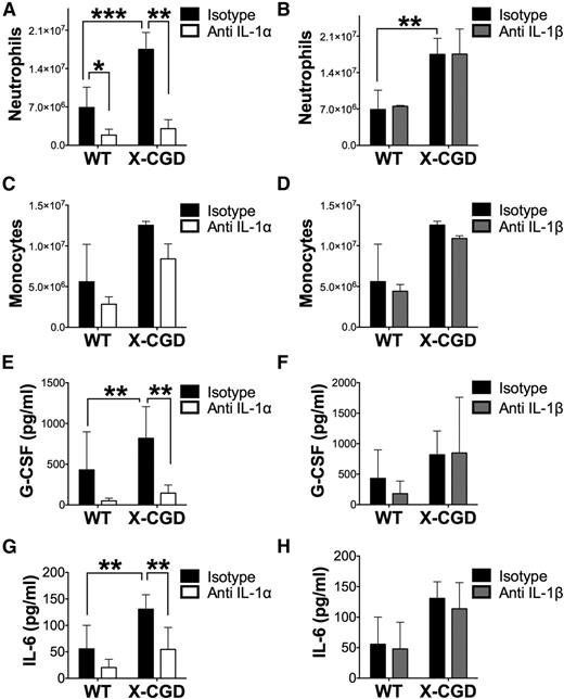 Figure 4. Neutralizing IL-1α, and not IL-1β, abrogated neutrophil early recruitment and increases in peritoneal G-CSF and IL-6. WT and X-CGD mice were injected IV with 0.5 mg of neutralizing antibodies either to mouse IL-1α, IL-1β, or isotype controls 1 hour before induction of periodate-induced peritonitis, and subsequently sacrificed after 8 hours. (A) Peritoneal neutrophils and (B) monocyte-macrophages were determined by cytospin analysis. Peritoneal cytokine levels in lavages were determined by a multiplex assay (E-H). Combined n = 6 in each group from 2 separate experiments. Data are presented as mean ± standard deviation and P values determined using 1-way ANOVA with Tukey correction. *P < .05, **P < .01, ***P < .001.