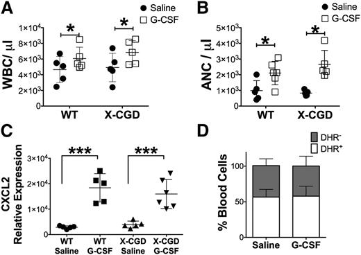Figure 6. NADPH oxidase deficiency did not result in intrinsic sensitivity to G-CSF. (A) Peripheral WBC and (B) ANC were determined 2 hours after IV injection with 5 μg of G-CSF or saline (n = 7). Data are presented as mean ± standard deviation. For panels A and B, P values were determined by analyzing the differences between control (Saline) and treated (G-CSF) experimental groups for each genotype by using the Student t test. *P < .05. (C) Cxcl2 expression was determined in total bone marrow 2 hours post-G-CSF injections. (D) Carrier females were injected with 5 μg of G-CSF and the relative fraction of oxidase-negative (DHR−) and oxidase-positive (DHR+) neutrophils determined by DHR assay. For panels C and D, data were analyzed using 1-way ANOVA with Tukey correction; ***P < .001 (C-D).