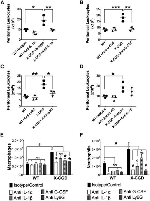 Figure 7. Blocking the early neutrophil response to sterile inflammation protected against prolonged elevation of peritoneal exudate cells in X-CGD. (A-D) WT and X-CGD mice were injected IV with neutralizing antibodies to either mouse IL-1α, G-CSF, IL-1β, or isotype control antibody, or with anti-Ly6G to deplete neutrophils, then challenged 1 hour with periodate i.p. and sacrificed after 72 hours. Total peritoneal leukocyte counts were enumerated. Data from 1 of 2 representative experiments (n = 3 mice per group) is presented as means ± standard deviation and statistical differences calculated using 1-way ANOVA with Tukey correction. *P < .05, **P < .01, ***P < .001. (E-F) Total number of macrophages (F4/80+) and neutrophils (Ly6G+) in the peritoneal exudates at 72 hours are shown. Each antibody-treated group was compared with a combined group of mice injected with periodate alone or with isotype + periodate as controls (▪). Statistical differences between controls and respective treatment groups were calculated using 1-way ANOVA with Dunnett correction. *P < .05, ϕP < .01, #P < .001; NS, nonsignificant.