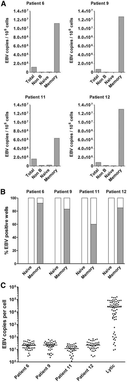 Figure 5. EBV loads in different B-cell subsets in patients with high-level reactivation. (A) Cellular EBV loads determined by Q-PCR in bulk populations of unsorted total CD19+ B cells and CD19− non-B cells sorted by FACS, CD27−IgD+ naive B cells and CD27+ memory B cells from 4 patients with high-level EBV reactivation. (B) Proportion of EBV-positive CD27−IgD+ naive and CD27+ memory B cells in the same 4 patients as above, determined by single-cell Q-PCR for EBV DNA. Gray shading represents the fraction of EBV-positive cells in the sorted naive and memory B-cell populations for each patient. (C) Distribution of EBV genome copy number per infected CD27+ memory B cell. Values are only shown for EBV-positive cells, with the solid horizontal lines indicating the median value for each patient. As a comparator, we also determined the EBV genome copy number in EBV-positive AKBM Akata-GFP cells induced into lytic cycle (Lytic Akata). Following induction, cells that had entered virus lytic cycle were single-cell sorted on the basis of GFP expression before determining the genome load per cell by Q-PCR, as above. Although the majority of sorted GFP+ cells have in excess of 1000 EBV genomes per cell, note that a small proportion of GFP+ cells have much lower (latent) viral loads because viral replication is slightly delayed with respect to GFP expression. GFP, green fluorescent protein.