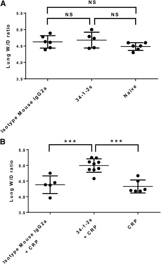 Figure 1. Lung W/D weight ratios in BALB/c mice receiving the indicated transfusions of antibody and/or CRP. (A) Injection of isotype mouse IgG2a antibody or 34-1-2s alone did not result in lung damage, similar to untreated naïve mice. (B) Injection of CRP together with 34-1-2s results in increased lung W/D weight ratios compared with CRP injection with isotype IgG2a or CRP alone. Ninety minutes after antibody and/or CRP injections, mice were euthanized and lungs were harvested. Each dot represents 1 mouse, and error bars represent standard deviation (SD). Only comparisons of significance are shown and determined by 1-way analysis of variance (ANOVA) with Tukey’s post hoc. NS, nonsignificant. ***P < .001.