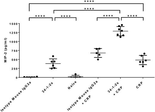 Figure 2. Plasma MIP-2 levels in BALB/c mice receiving the indicated transfusions of antibody and/or CRP. Mice were euthanized after 90 minutes following antibody and/or CRP injection and blood was collected, followed by plasma MIP-2 level determination. Each dot represents 1 mouse, and error bars represent SD. Only comparisons of interest are shown and determined by 1-way ANOVA with Tukey’s post hoc. ****P < .0001.