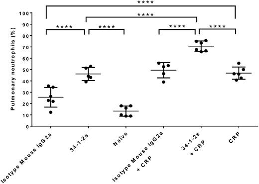 Figure 3. Pulmonary neutrophil percentages in BALB/c mice receiving the indicated transfusions of antibody and/or CRP. Mice were euthanized after 90 minutes following antibody and/or CRP injection, and lung harvesting was performed. Each dot represents 1 mouse, and error bars represent SD. Only comparisons of interest are shown and determined by 1-way ANOVA with Tukey’s post hoc. ****P < .0001.