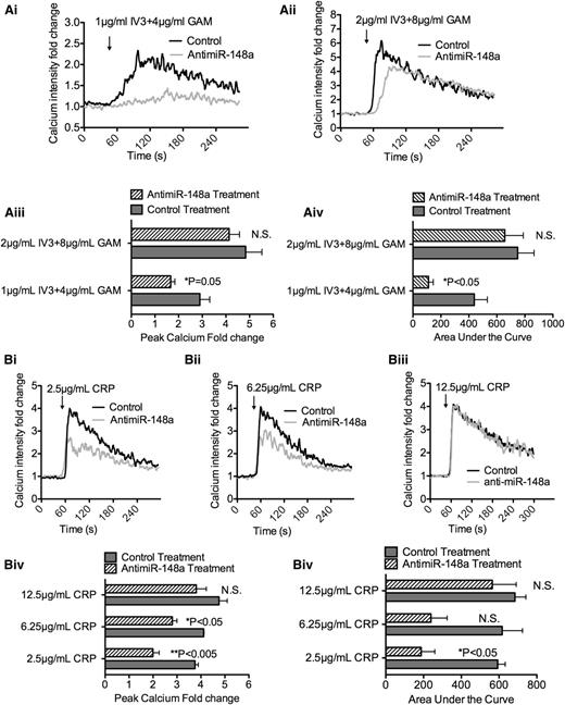 Figure 5. In vivo miR-148a inhibition diminished calcium mobilization via GPVI and FcγRIIA stimulation. A total of 1 × 106 platelets from anti–miR-148a– or control-treated mice were labeled with Fluo-4-AM. Baseline intracellular calcium was assessed for 60 seconds, and indicated doses of agonists were added to the platelets: (Ai-Aii) 1 µg/mL IV.3 + 4 µg/mL GAM and 2 µg/mL IV.3 + 8 µg/mL GAM were added, respectively, at the indicated time. (Aiii) Quantification of peak calcium fold change (n = 3). (Aiv) Quantification of area under the curve (AUC) for calcium mobilization curve (n = 3). AUC was calculated in Prism software. (Bi-Biii) 2.5 µg/mL CRP, 6.25 µg/mL CRP, and 12.5 µg/mL CRP were used to induce calcium influx, respectively. (Biv-Bv) Quantification of peak calcium fold change and AUC were performed as discussed above (n = 3).