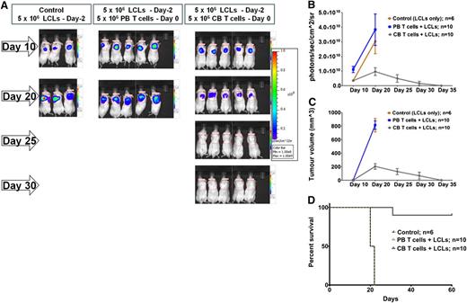 Figure 1. Cord blood T cells mediate enhanced antitumor effects compared with peripheral blood T cells. (A) Representative experiment illustrates slower tumor growth followed by rapid rejection of B-cell lymphoma in mice receiving allogeneic CB T cells compared with mice receiving allogeneic PB T cells and control mice. All images are shown on 1 scale (range, 1.00e8-1.00e9 photons/s/cm2/sr). Tumor size in control mice and those receiving PB T cells exceeded threshold of 10 mm, and hence these mice were euthanized. (B) Tumor bioluminescence (photons/s/cm2/sr) was measured using Xenogen-IVIS, and (C) tumor volume (mm3) was derived using caliper measurements. Cumulative rate of tumor growth (mean and standard error of mean) from 2 separate experiments are plotted. These plots show a significantly slower rate of tumor growth in the mice receiving CB T cells compared with the mice receiving PB T cells and the control group. (D) Regression of the tumor following infusion of CB T cells led to significantly improved survival in this group compared with the PB group (P < .0003).
