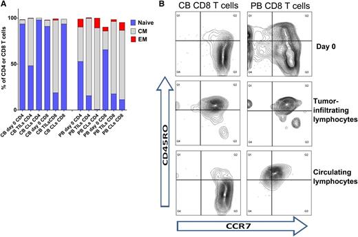 Figure 6. Tumor-infiltrating naive CB T cells rapidly differentiate into memory/effector cells. (A) Comparison of median percentages of naive, central memory, and effector memory subsets in TILs and CLs on day +15 after T-cell injection. Naive CB T cells rapidly switched to the memory/effector phenotype in the tumor; however, circulating CB lymphocytes remained naive. A similar percentage of CD8+ TILs had central memory and effector memory phenotypes in both groups (P = not significant). Interestingly, in the PB group, a significantly higher percentage of CLs had an effector memory phenotype compared with TILs (P < .0001). (B) Representative flow cytometry plots of CD8+ T cells infused on day 0, CD8+ tumor-infiltrating lymphocytes, and CD8+ circulating lymphocytes.