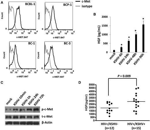 Figure 1. KSHV activates the HGF/c-MET pathway in vitro and in vivo. (A) Four KSHV+ PEL cell lines were incubated with a monoclonal antibody recognizing the extracellular domain of c-MET (black line) or isotype antibody as a negative control (gray line), followed by a secondary antibody conjugated to Alexa 647. Surface expression of c-MET was quantified using flow cytometry. (B-C) HUVECs were infected by purified KSHV (MOI = 10), and the supernatant and cell lysates were collected at indicated time points. HGF concentrations in supernatant were determined by ELISA and protein expression was measured by immunoblots. Error bars represent the S.E.M. for 3 independent experiments. *P < .01. (D) The HGF concentrations in plasma from cohort HIV-infected patients were determined by ELISA, and KSHV infection status was determined by using ELISAs for identifying circulating IgG antibodies to KSHV proteins as described in “Methods.” S.E.M., standard error of the mean.