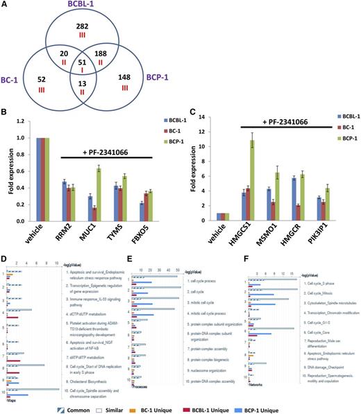 Figure 5. Microarray analysis of gene profile altered within PF-2341066–treated PEL cell lines. (A) The HumanHT-12 v4 Expression BeadChip (Illumina) was used to detect gene profile altered within PF-2341066–treated PEL cell lines (BCBL-1, BC-1, and BCP-1) when compared with vehicle-treated control. Intersection analysis of significantly altered genes (up/down at least twofold and P < .05) was performed using Illumina GenomeStudio software. Set I: Common genes altered in all the 3 cell lines. Set II: Similar genes altered in every 2 cell lines. Set III: Unique genes altered in each cell line. (B-C) The transcriptional levels of selected 4 candidate genes downregulated (B) or upregulated (C) as shown in microarray data were validated by using qRT-PCR, respectively. Error bars represent the S.E.M. for 3 independent experiments. (D-F) The enrichment analysis of gene profile (common, similar, and unique set as indicated) significantly altered by c-MET inhibitor was performed using the MetaCore software (Thompson Reuters) modules: Pathway Maps (D), Gene Ontology Processes (E), and Process Networks (F).