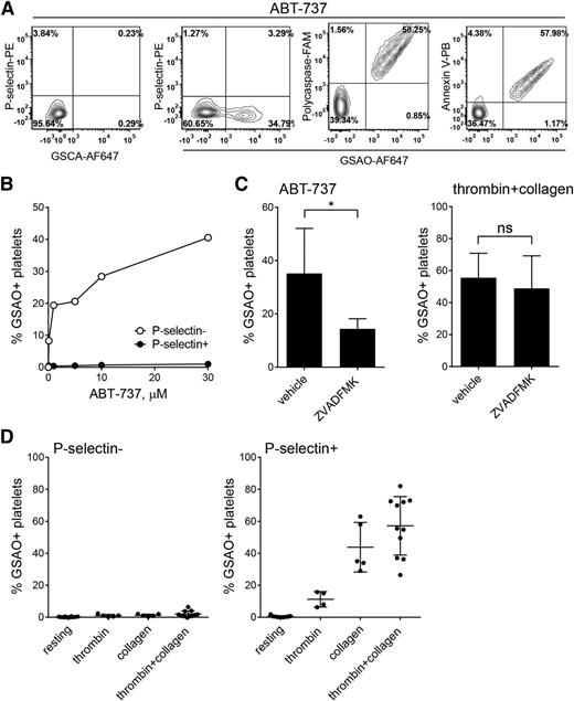 Figure 3. Labeling with GSAO and exposure of P-selectin distinguishes necrotic from apoptotic platelets. (A) Washed human platelets were incubated with 30 µM of the BH3 mimetic ABT-737 for 2 hours, and exposure of P-selectin and labeling with GSAO-AF647, control GSCA-AF647, polycaspase-FAM, or annexin V-PB were measured by flow cytometry. (B) Washed human platelets were incubated with increasing concentrations of ABT-737 for 2 hours, and labeling with GSAO-AF647 and exposure of P-selection were measured by flow cytometry. The percentage of GSAO+ platelets are graphed with respect to P-selectin exposure. (C) Washed human platelets were preincubated with 200 µM ZVADFMK or vehicle control for 15 minutes and then incubated with 30 µM ABT-737 for 2 hours (part F), or stimulated with thrombin (0.1 U/mL) and collagen (5 µg/mL) for 10 minutes (part G). Labeling with GSAO-AF647 and exposure of P-selection were measured by flow cytometry. (D) Washed human platelets from healthy donors (n = 5-11) were untreated or stimulated with thrombin (0.1 U/mL), collagen (5 µg/mL), or thrombin (0.1 U/mL) and collagen (5 µg/mL) for 10 min. Labeling with GSAO-AF647 and exposure of P-selection was measured by flow cytometry, and the results were expressed as GSAO+ platelets that are P-selectin− or P-selection+. The error bars are mean ± standard deviation.