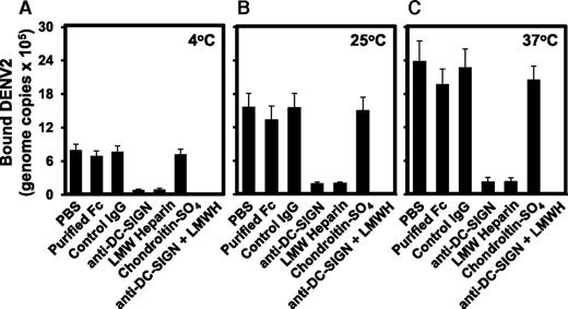 Figure 2. Dengue virus binding to platelets involves DC-SIGN and HSP. Platelets (5 × 105/mL) were incubated for 30 minutes at (A) 4°C, (B) 25°C, or (C) 37°C with PBS, purified Fc (TruStain FcX), nonimmune isotype-matched control IgG, anti-DC-SIGN, LMW heparin, chondroitin sulfate, or a combination of LMWH and anti-DC-SIGN (each at 50 μg/mL). Platelets were then incubated with purified DENV2 (4 × 107 particles/mL) for 1 hour. Platelets were washed twice with PBS, and RNA was isolated for quantification of bound virus by qRT-PCR. (n = 3, ±SD.)