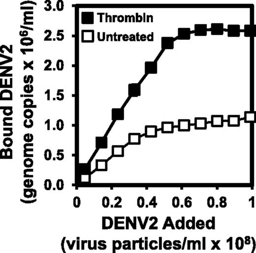 Figure 3. Thrombin-enhanced Dengue virus binding to platelets. Platelets (5 × 105/mL) were incubated with (closed squares) or without (open squares) human α-thrombin (5.0 nM) for 10 minutes at 25°C and washed with PBS. Washed platelets were then incubated for 1 hour with virus and washed twice with PBS to remove unbound virus. RNA was isolated from the platelet-virus pellets and virus RNA quantified by qRT-PCR. The fit of data is arbitrary (n = 3, ±SD, usually smaller than the size of symbols).